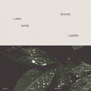 性欧美13处交A片
