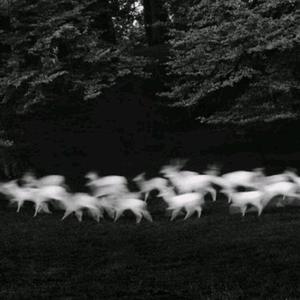 性欧美13处交A片
